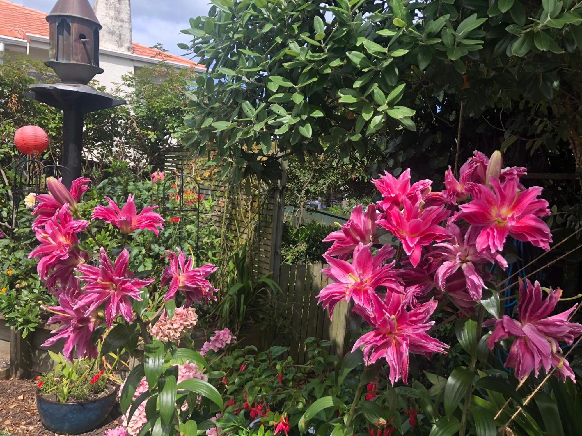 Top Floor Bed And Breakfast Paraparaumu Luaran gambar