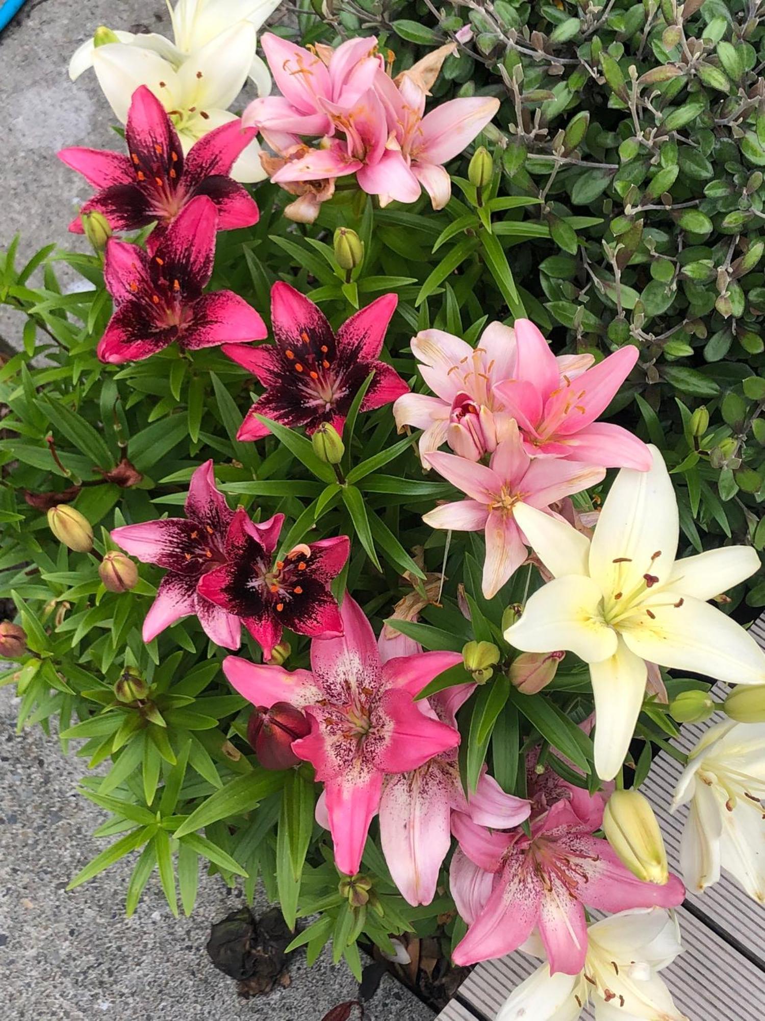 Top Floor Bed And Breakfast Paraparaumu Luaran gambar